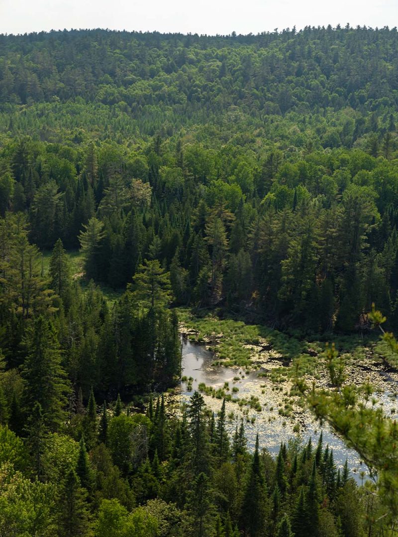 My Calabogie Living - Calabogie Real Estate - History